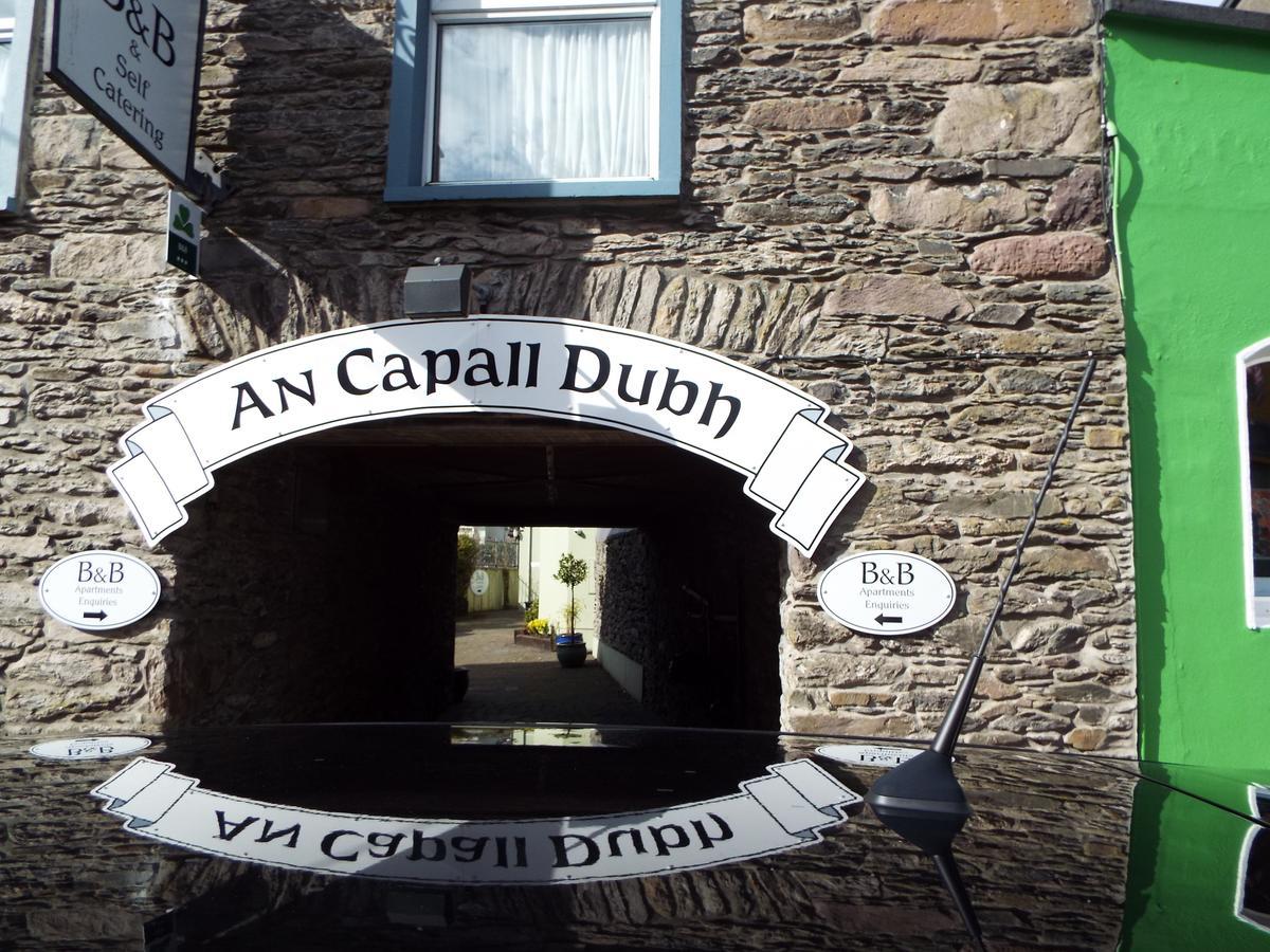 An Capall Dubh Bed & Breakfast Dingle