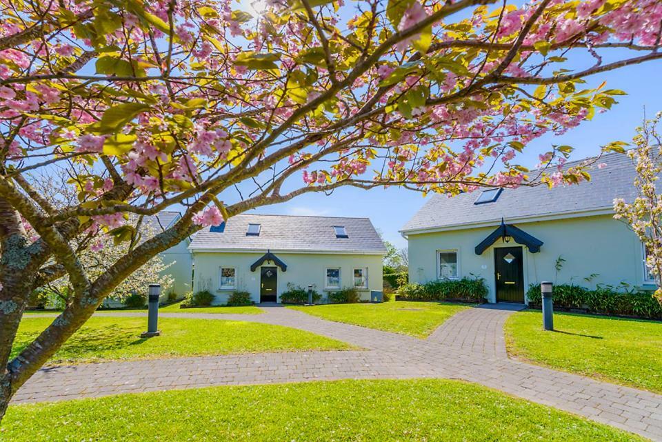 Bed & Breakfast An Capall Dubh Dingle