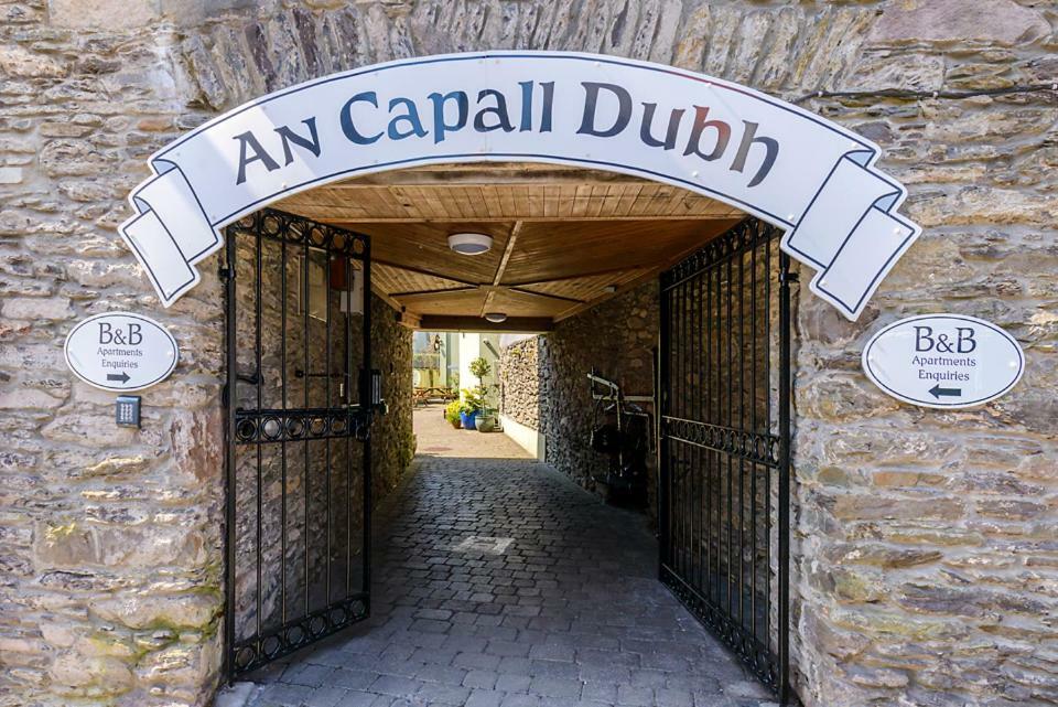 Bed & Breakfast An Capall Dubh Dingle